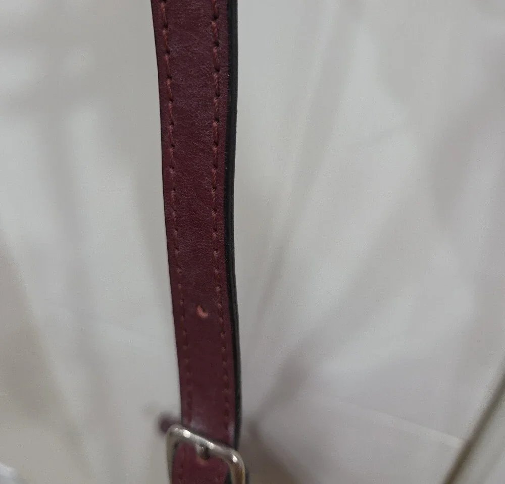 Giani Conti Burgundy Leather Crossbody Bag